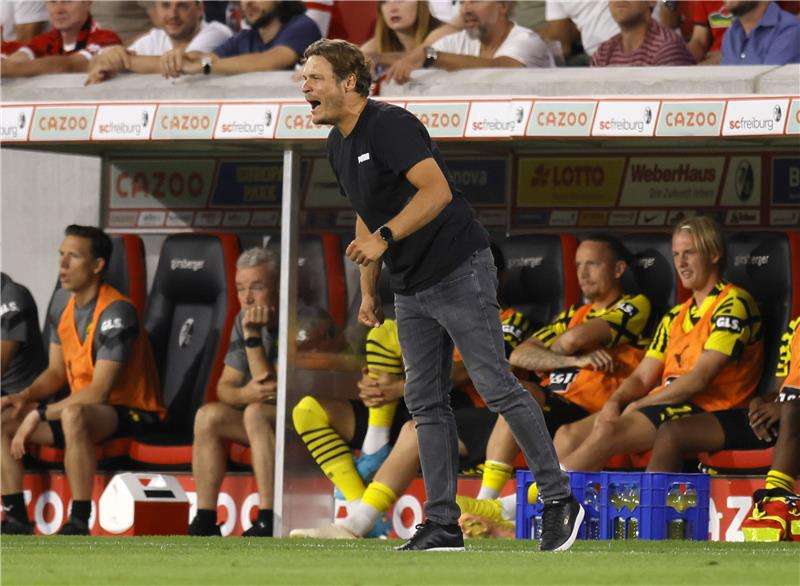 إيدين تيرزيتش