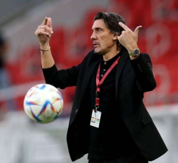 نيبوشا يوفوفيتش