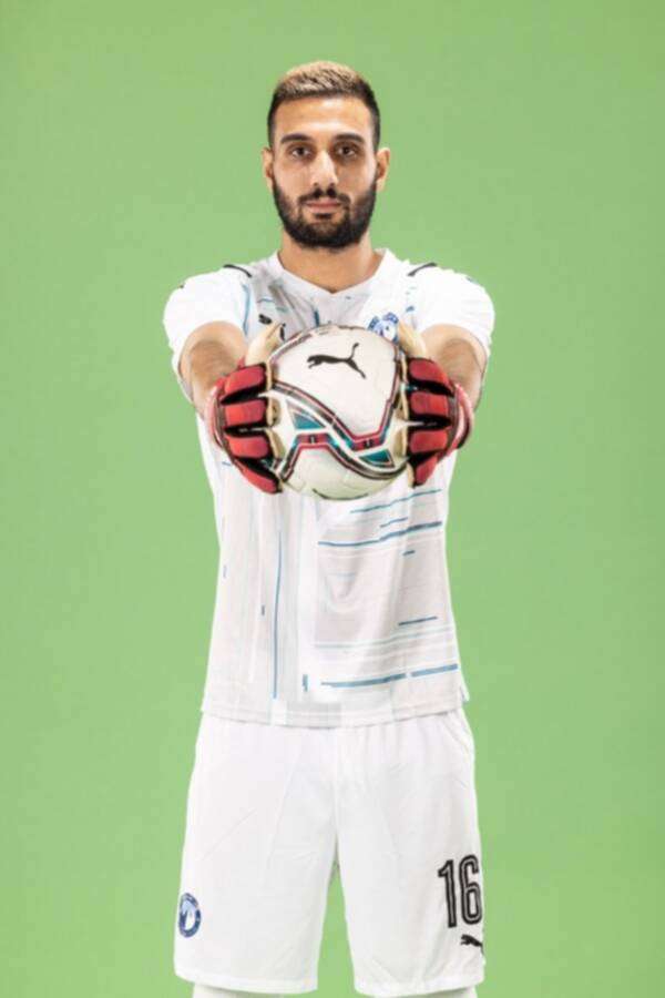 أحمد الشناوي