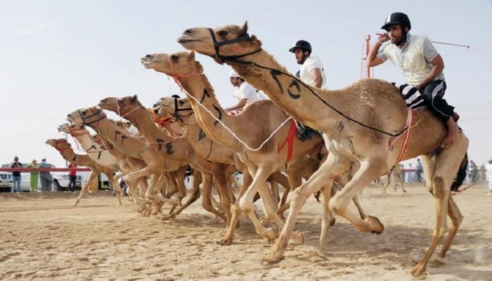 أرشيفية