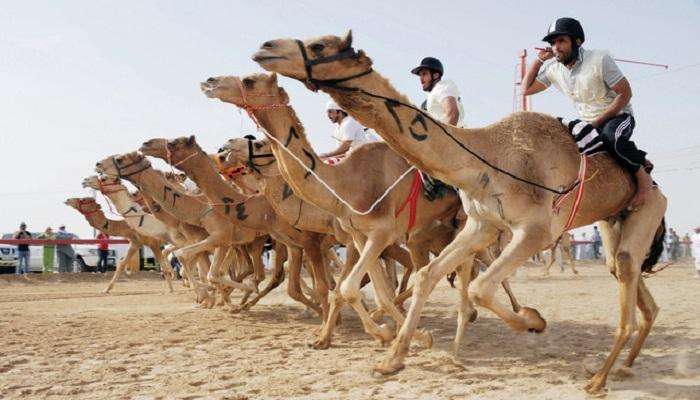 أرشيفية