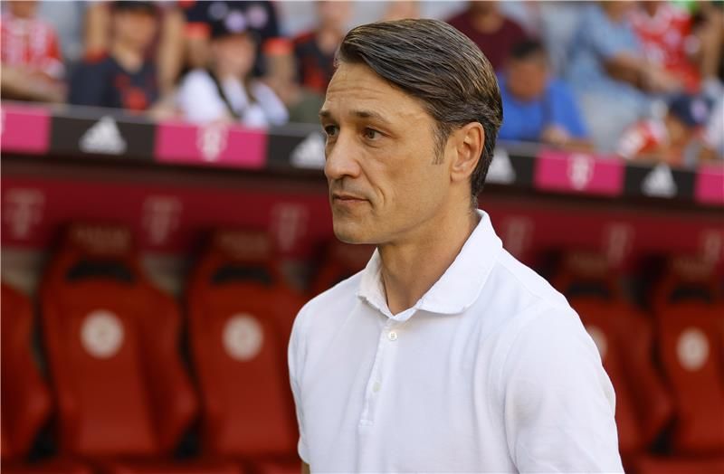 نيكو كوفاتش