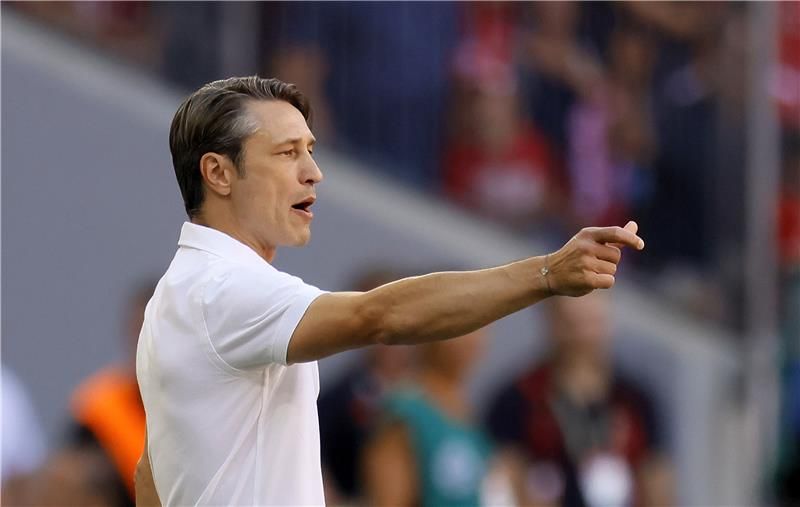 نيكو كوفاتش