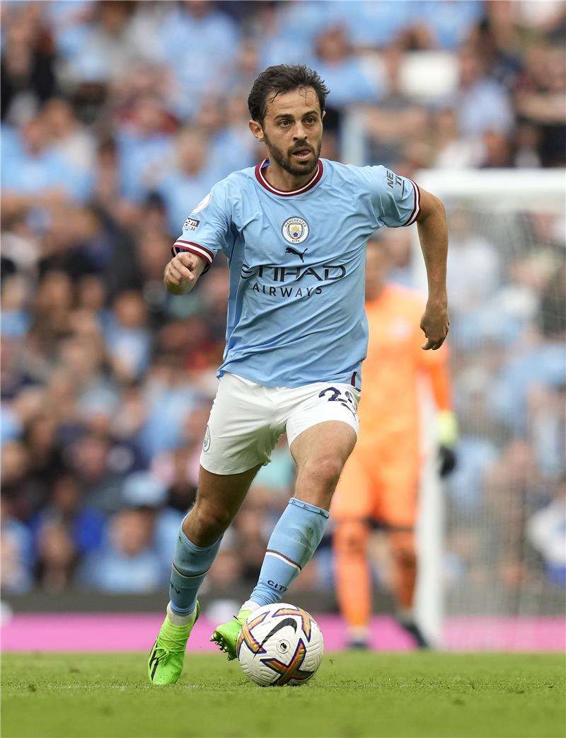 برناردو سيلفا