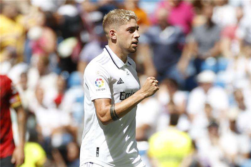 فيدي فالفيردي