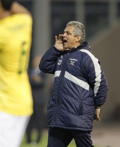  المدرب الكولومبي رينالدو رويدا