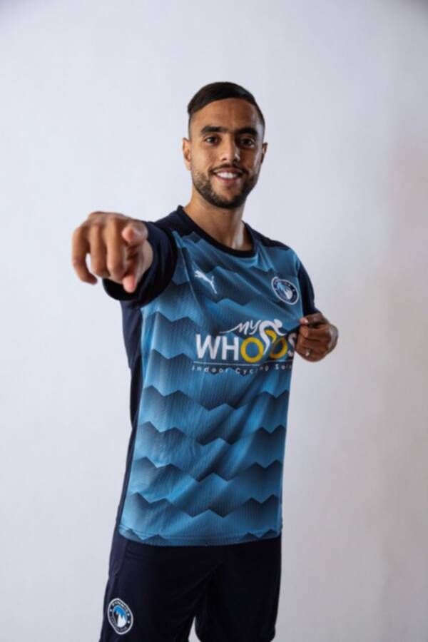 محمد الشيبي