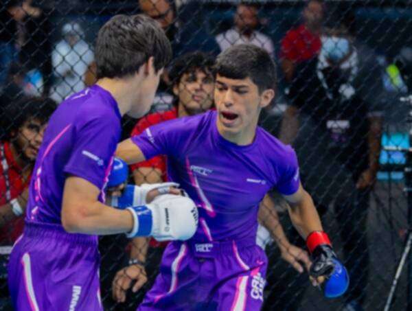 من الفنون القتالية المختلطة