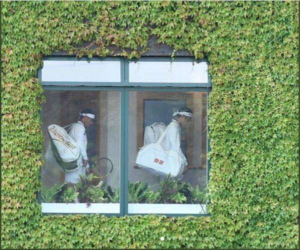 فيدرر ونادال