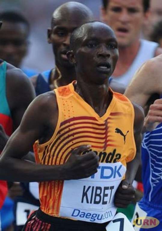 موسيس كيبيت