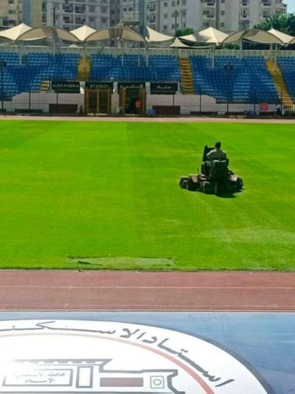 ستاد الإسكندرية