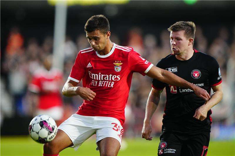 هنريكي أراوجو