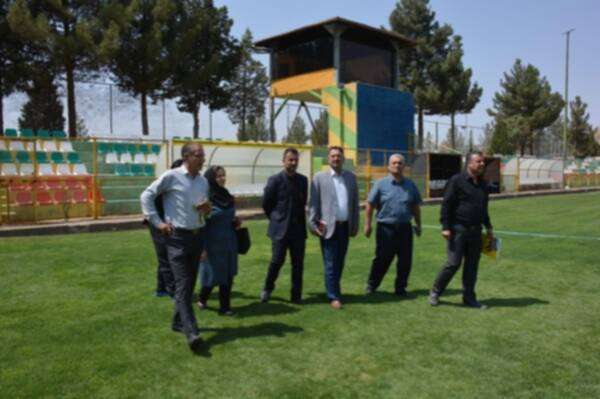 لجنة التراخيص