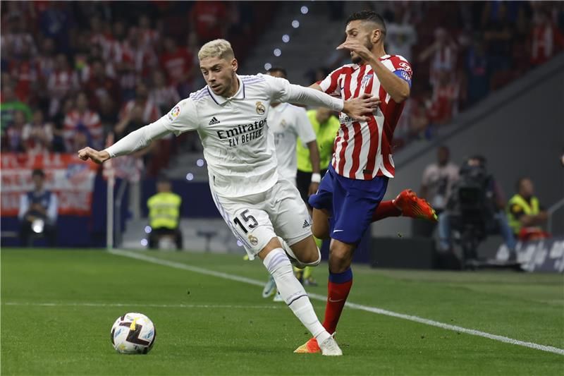 فيدي فالفيردي