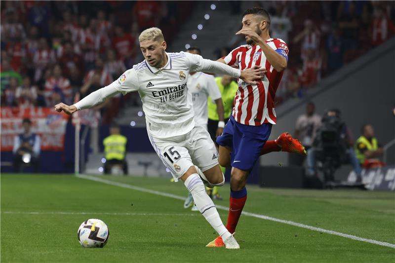 فيدي فالفيردي