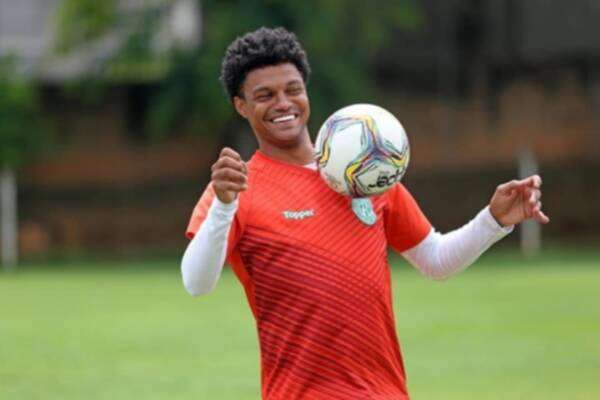 برونو باولو