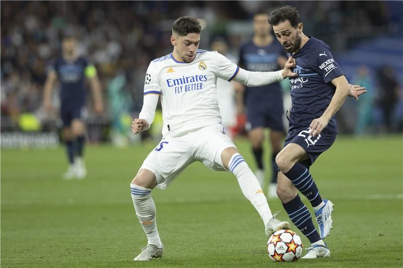 فيدي فالفيردي