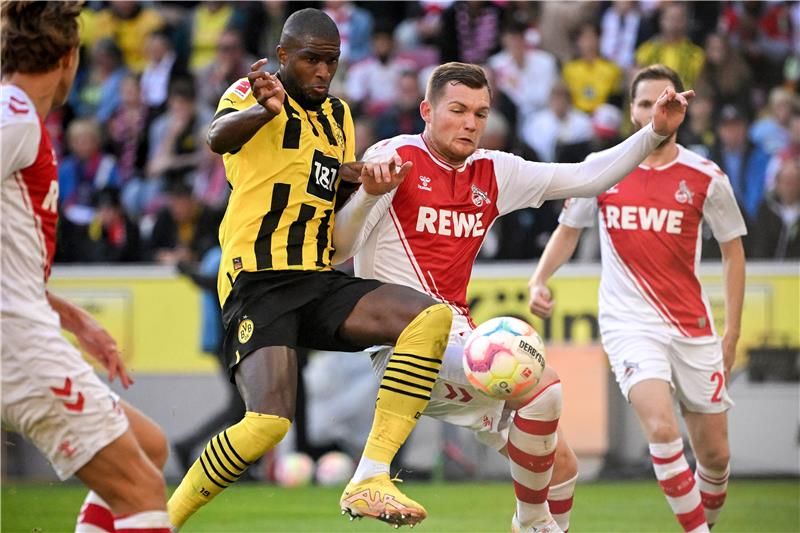 أنطوني موديست