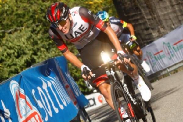 تادي بوجاتشار