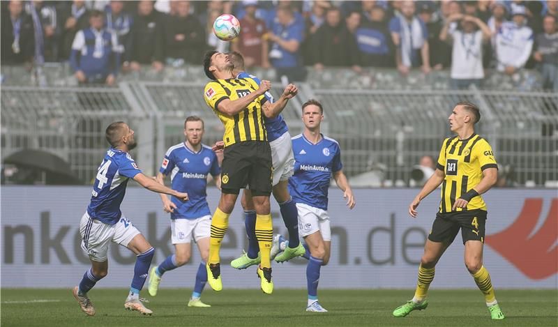 هومليز من مواجهة شالكه