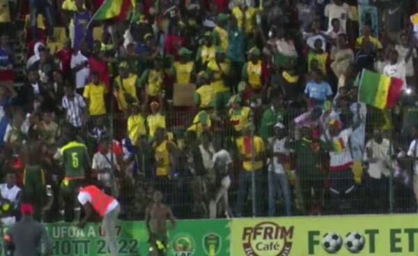 جماهير السنغال