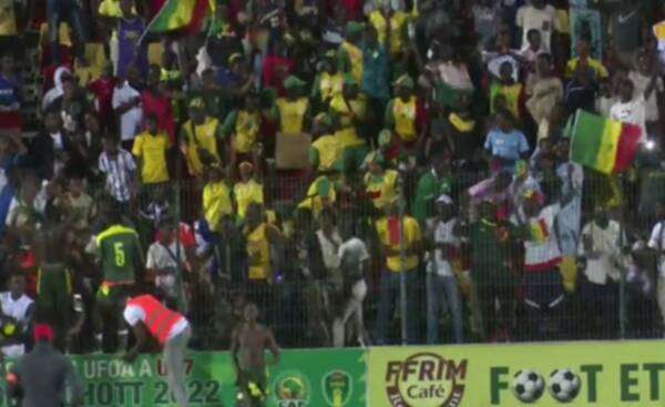 جماهير السنغال