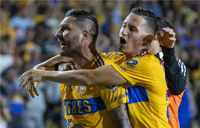 لاعبو تيجريس