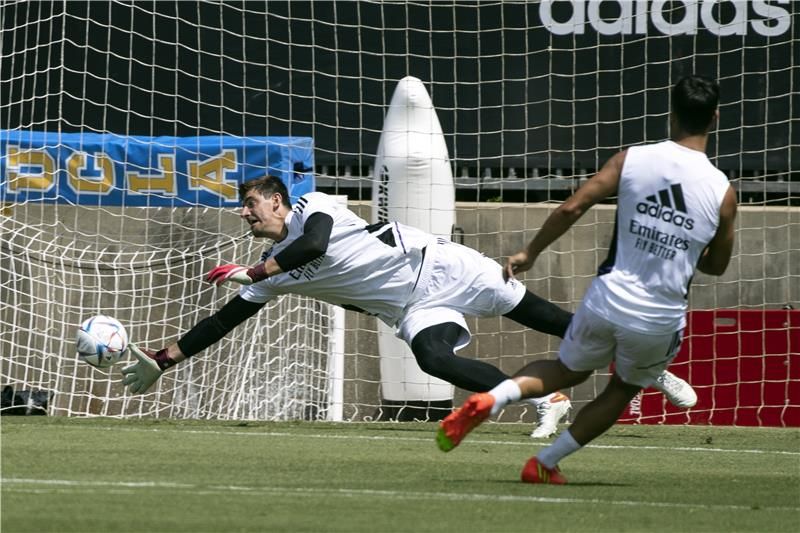 تيبو كورتوا