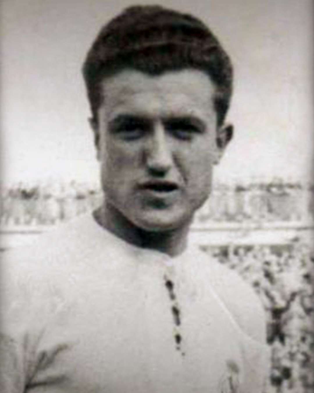 رافائيل فيردي