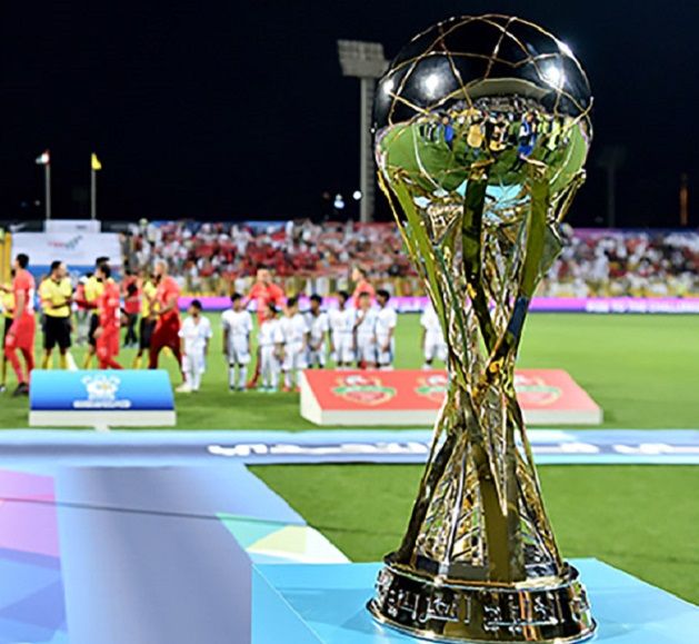 كأس المحترفين الإماراتي