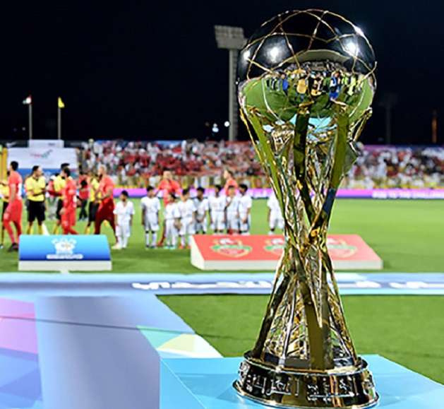 كأس المحترفين الإماراتي