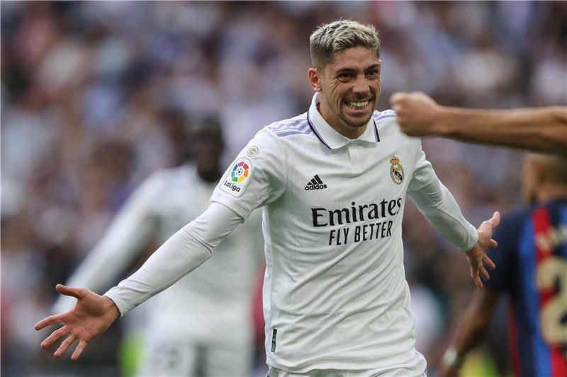 فيدي فالفيردي