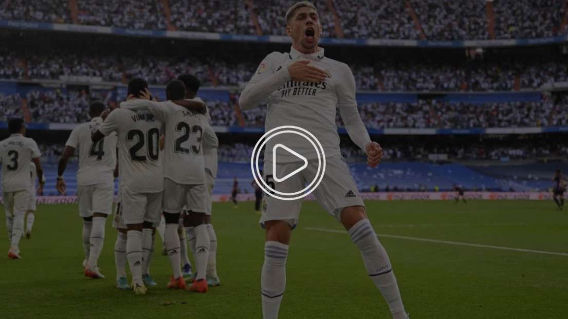 فيدي فالفيردي