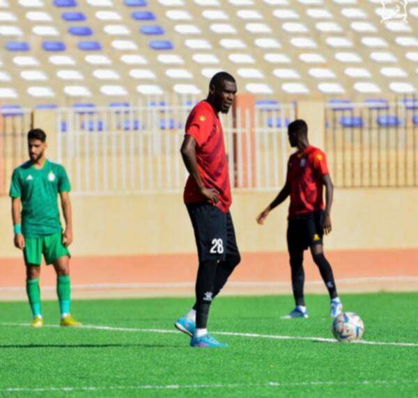 أحمد التربي