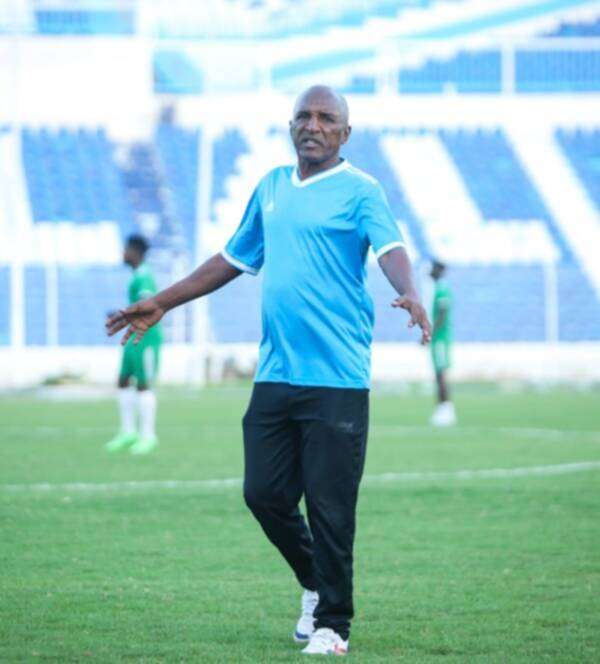 محمد محيي الدين