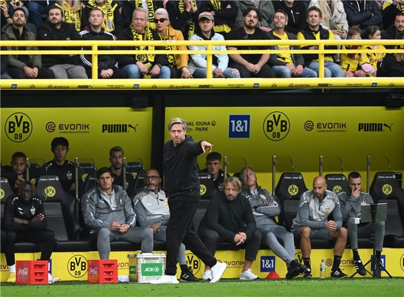 مايكل فايمر