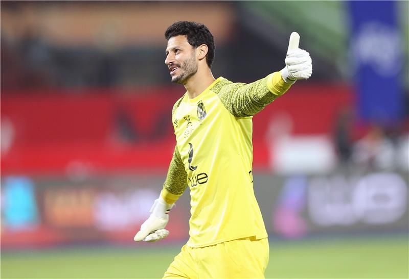 محمد الشناوي