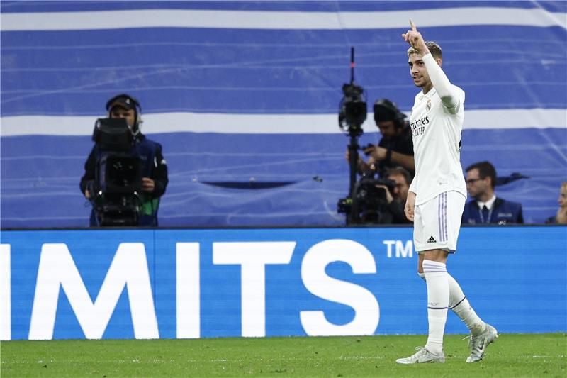 فيدي فالفيردي