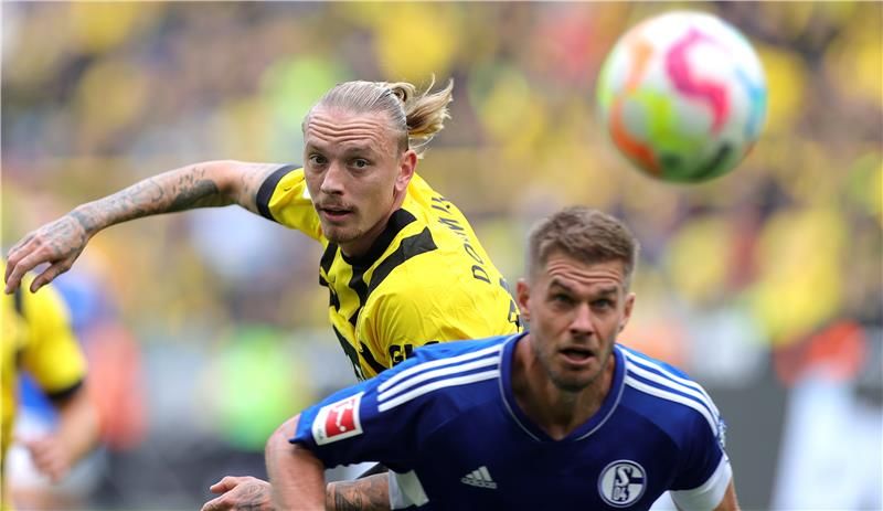 ماريوس وولف