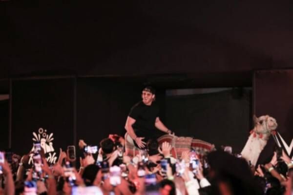 من الفعاليات