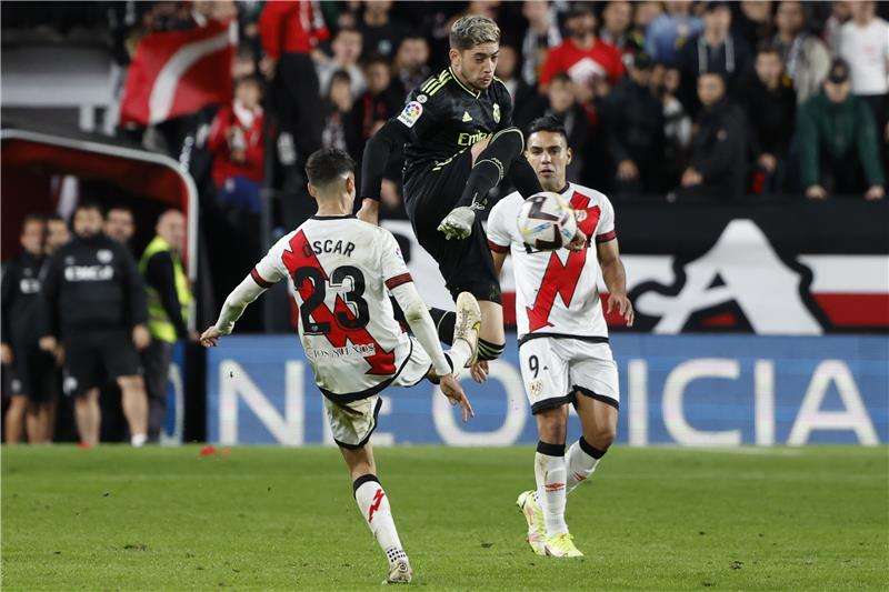 فيدي فالفيردي