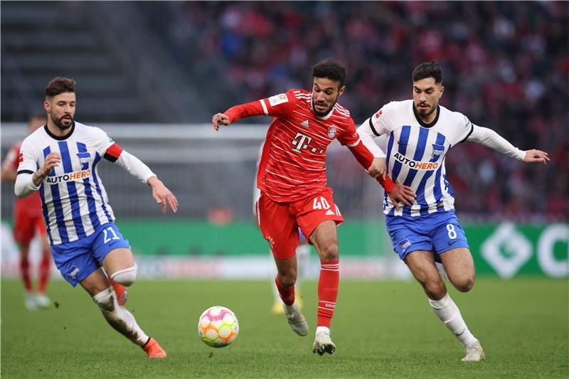 نصير مزراوي