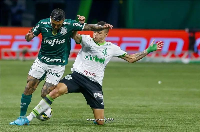 ?i=afp%2f20221110%2f20221110-afp_32n939g_afp