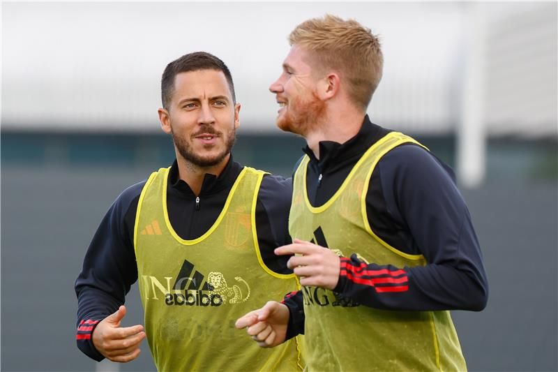 هازارد ودي بروين