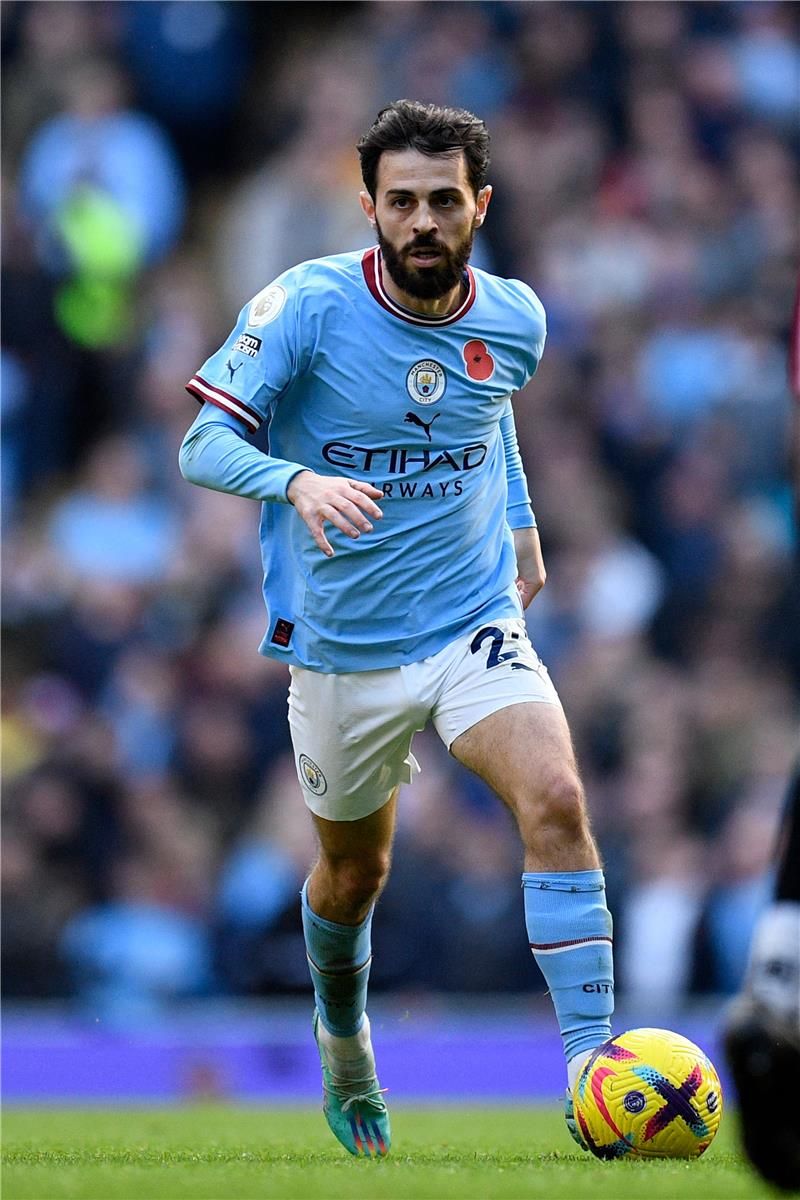 برناردو سيلفا