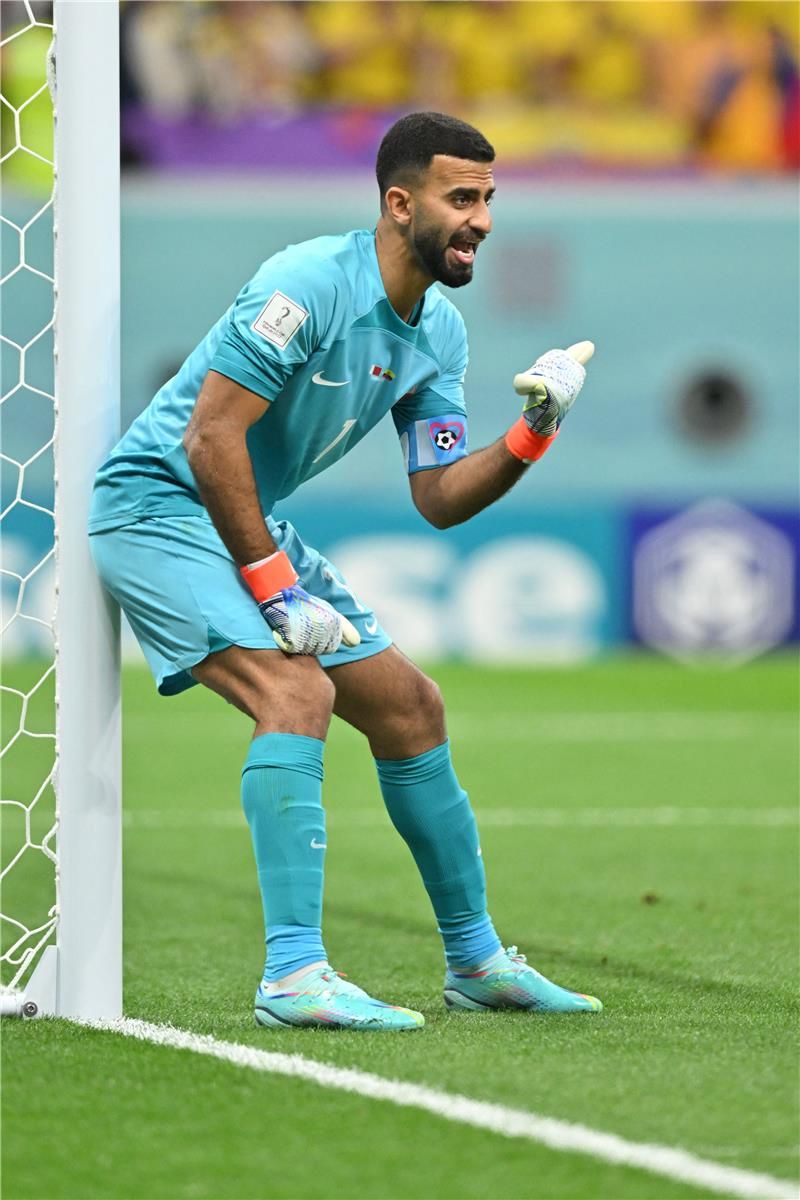 سعد الشيب
