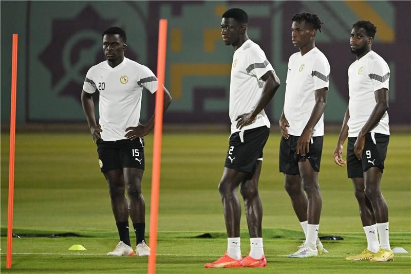 من تدريبات المنتخب