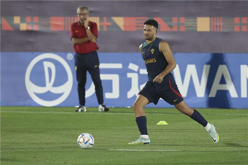 جونزالو راموس