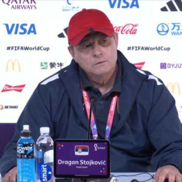 ستويكوفيتش