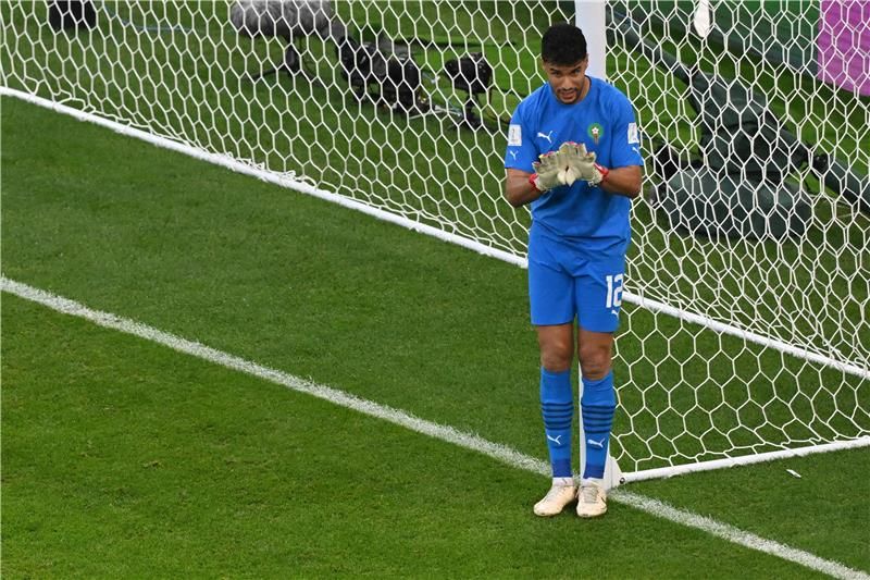 منير المحمدي